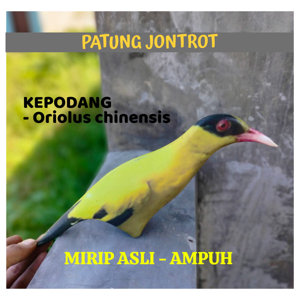 PATUNG JONTROT BURUNG KEPODANG KUNING - JONTROT BURUNG KEPODANG KUNING