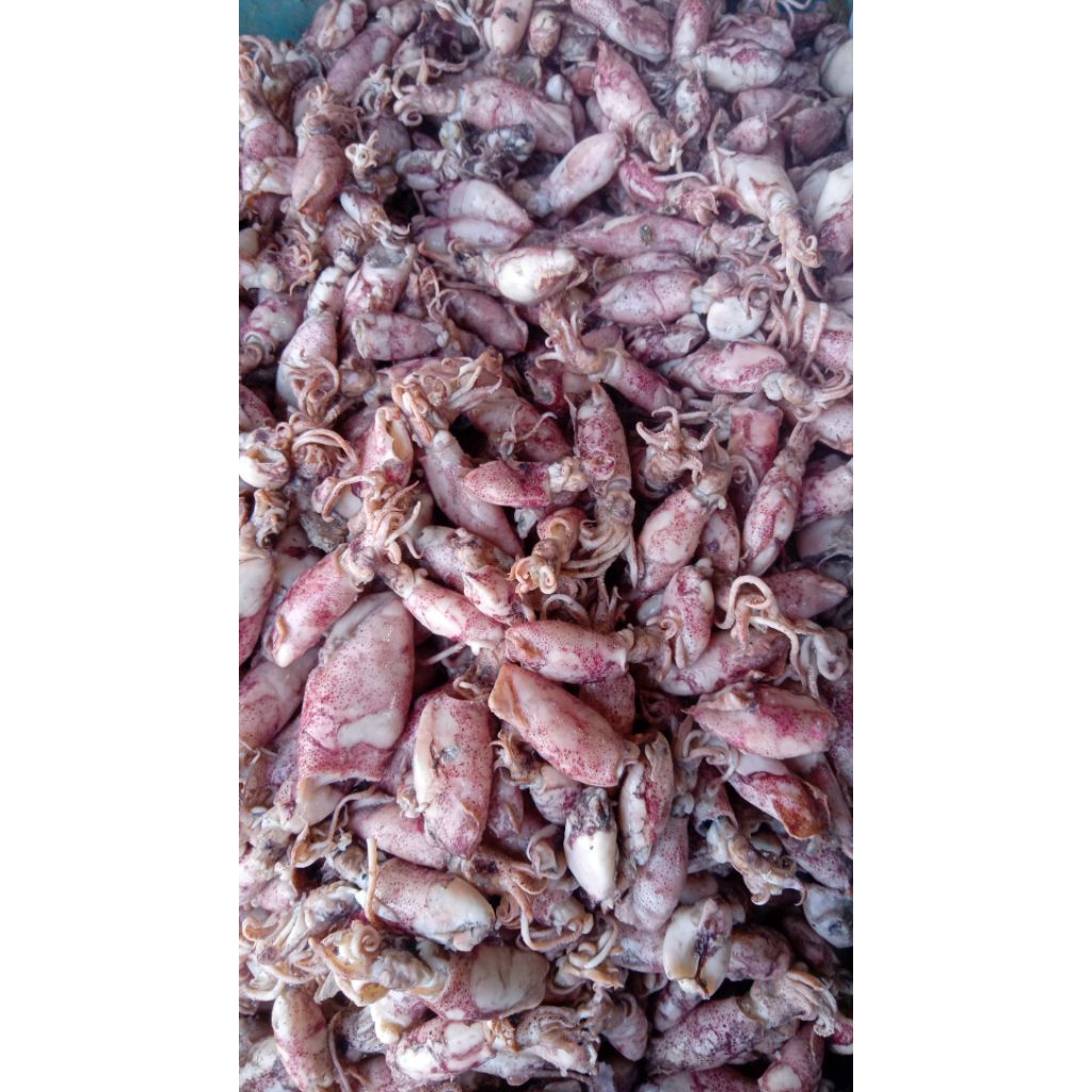 

ikan asin, cumi sotong semi basah , ikan asin premium, cumi 250 gram