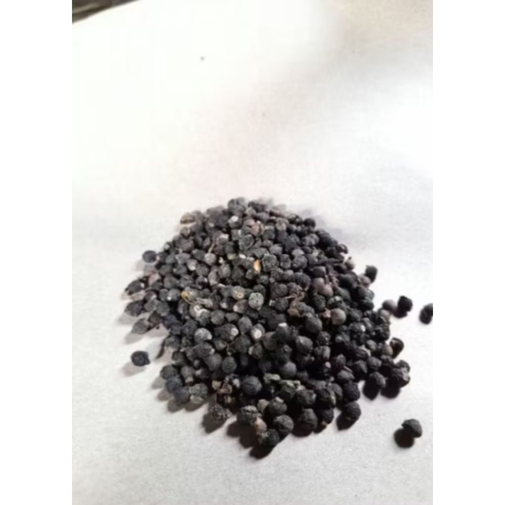 

biji binahong kering herbal (obat struk dan jantung)baik di konsumsi 200 biji bonus 5 biji