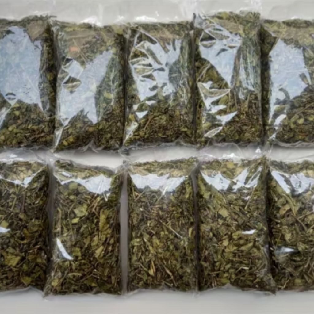 

Teh Hijau Asli 1 Kilo 10 Pcs