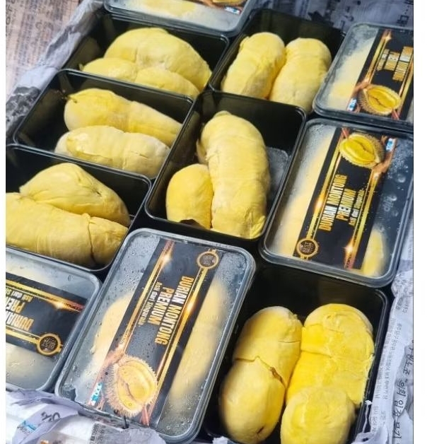 

Montong premium bali singaraja