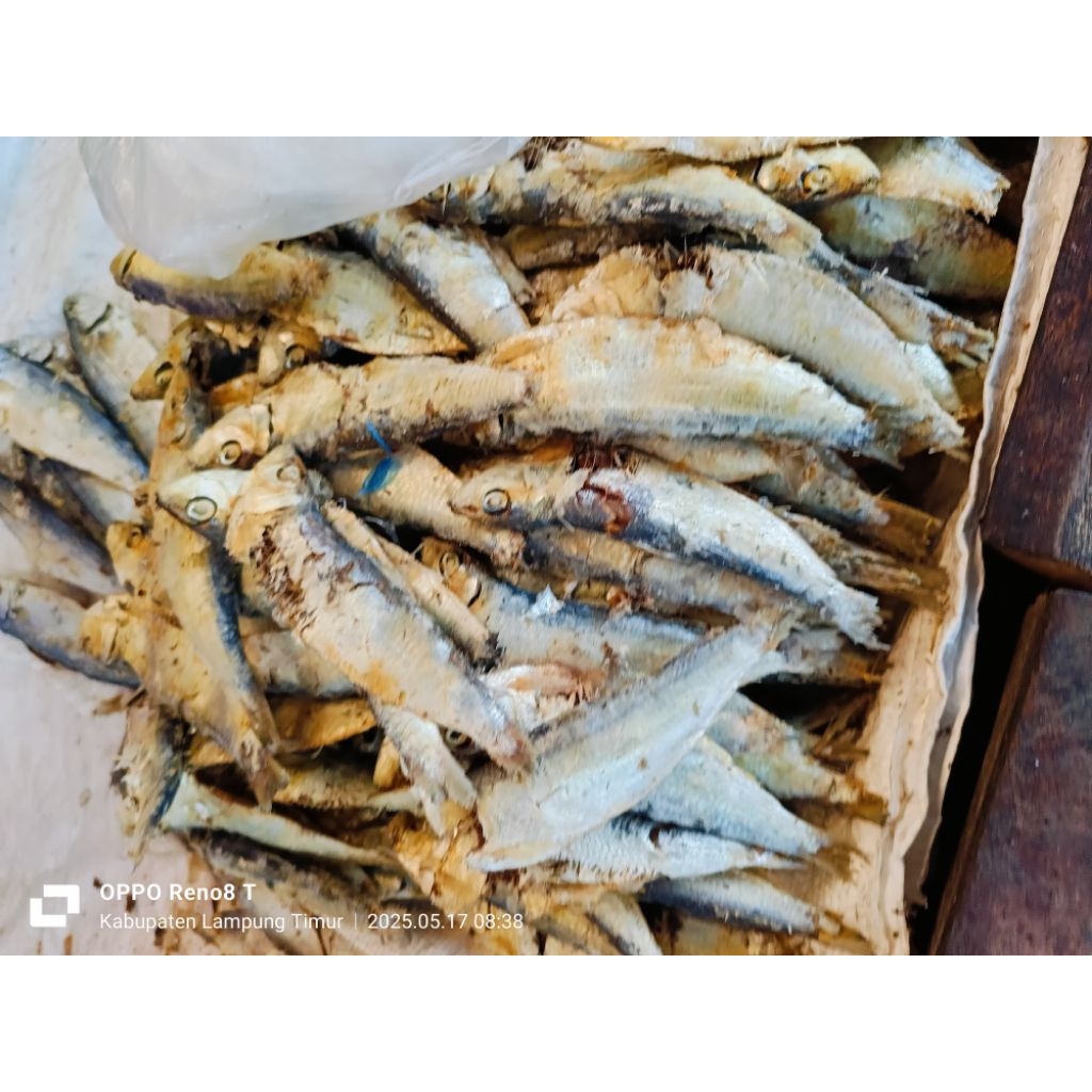 

IKAN ASIN TANJAN REBUS