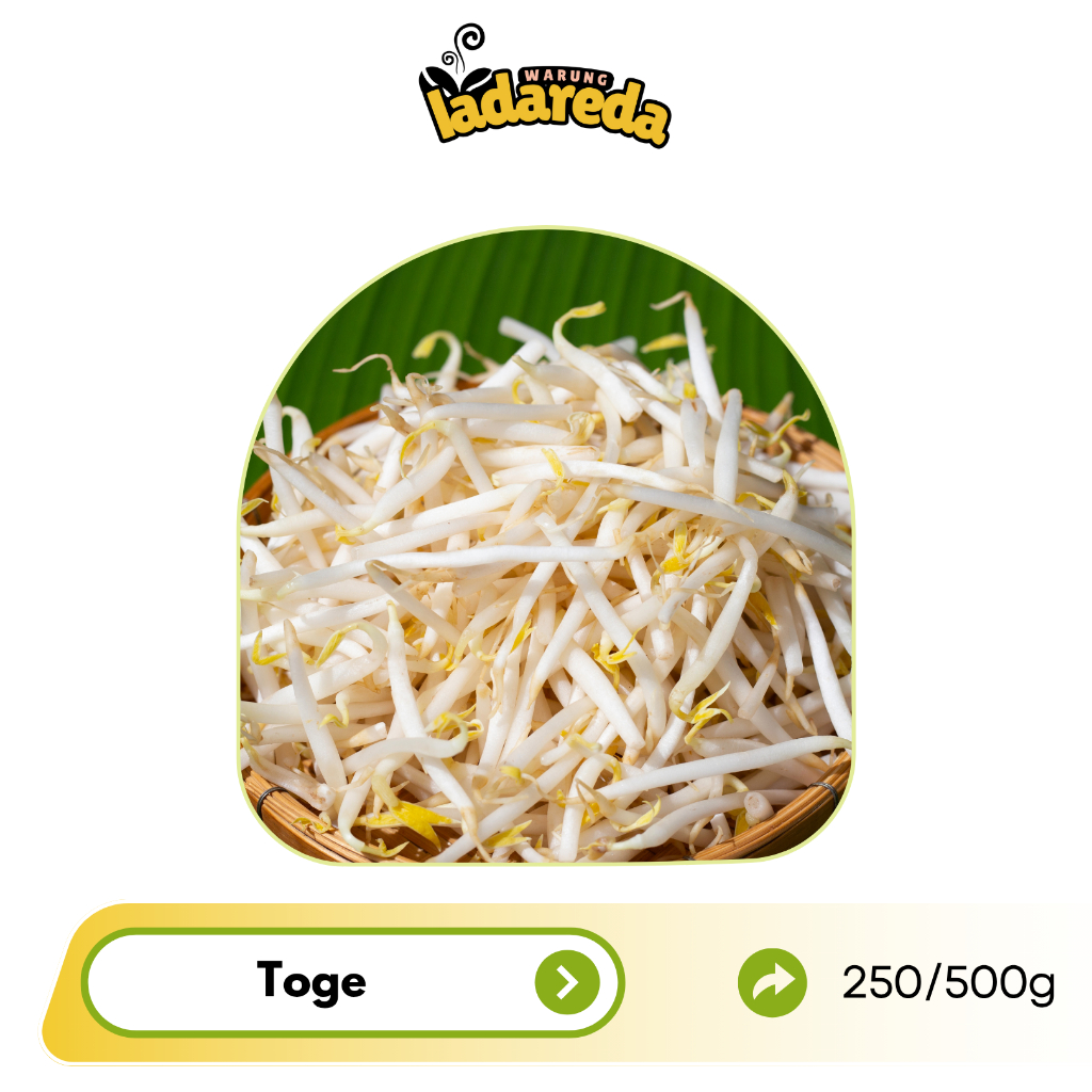 

Toge Fresh Hari ini 250g