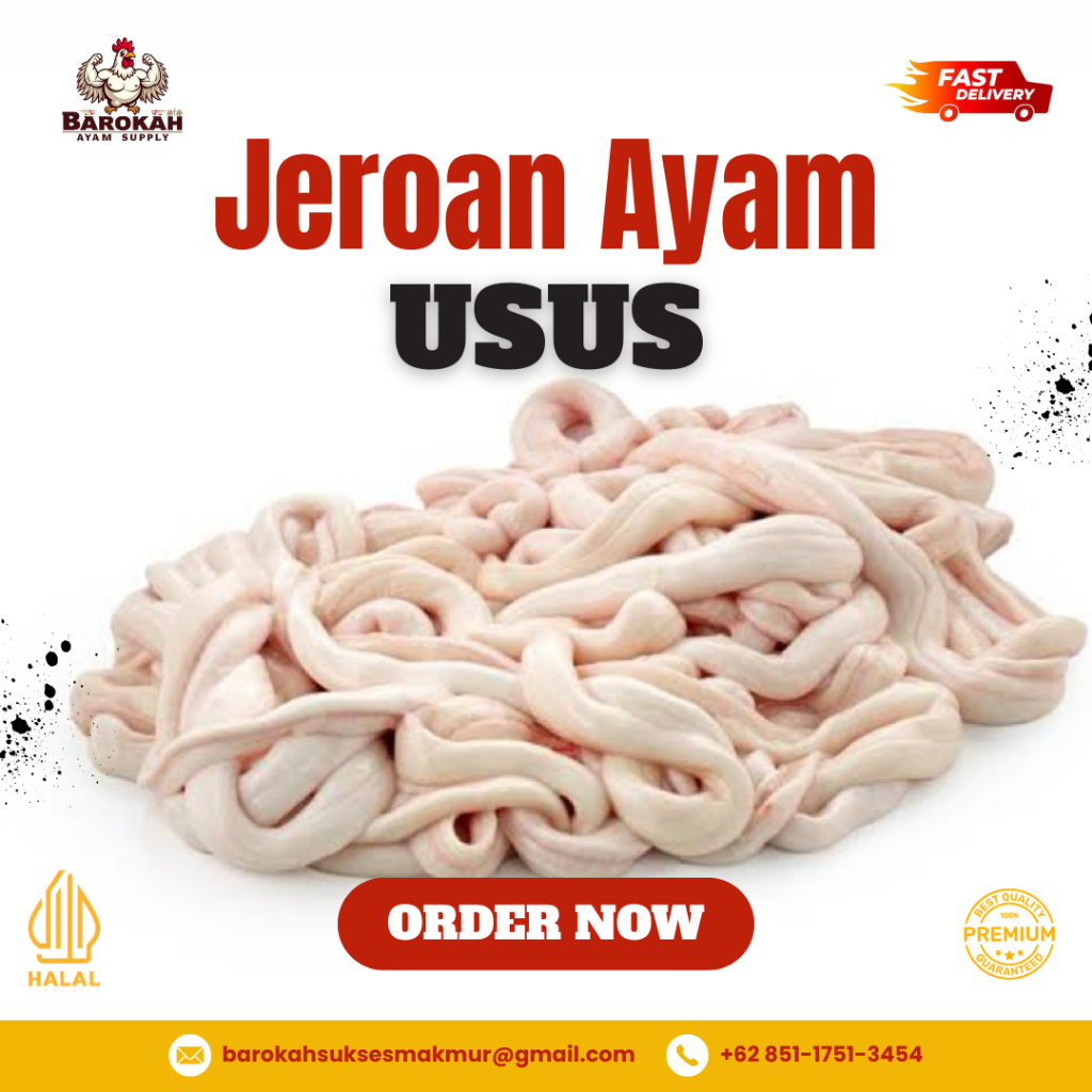 

Usus Ayam Segar 1Kg