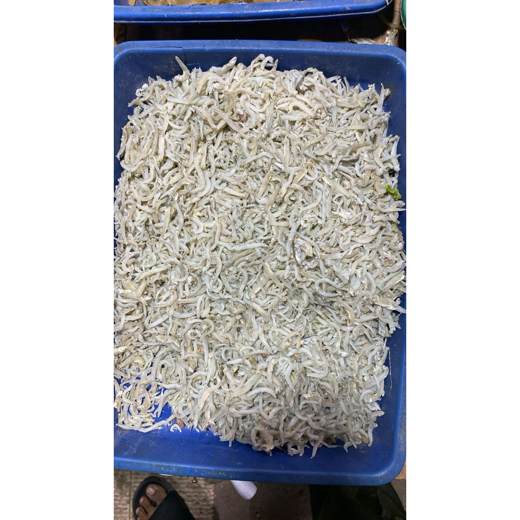 

Udang Rebon/Udeung Sabe Asli Aceh 100gr