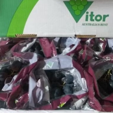 

ANGGUR ADORA BLACK SEEDLES maniss non biji/ dus
