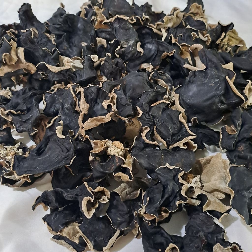 

Jamur Kuping Kering Super Grade A Bahan masakan food kering