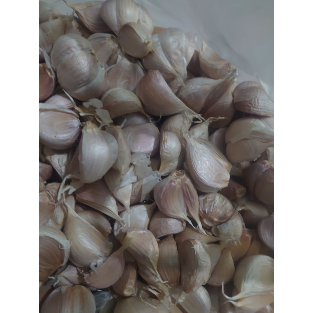 

Solusi dapur anti repot! Bawang putih kupas bersih, wangi, dan siap jadi bumbu andalan