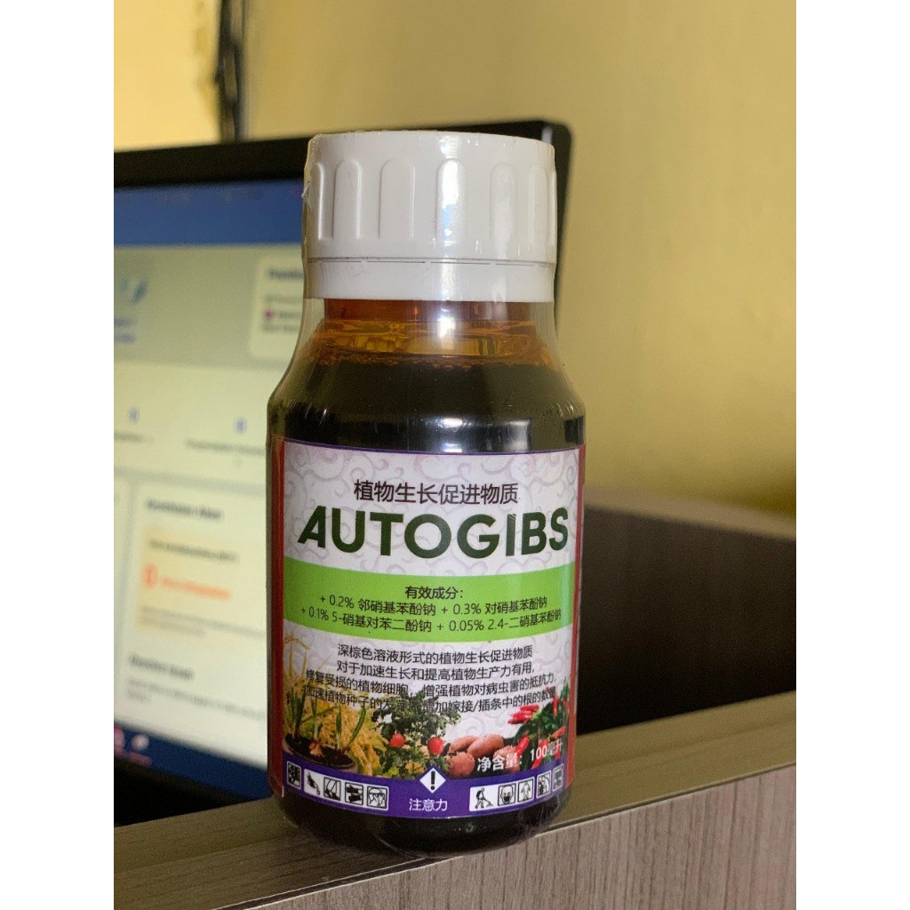 Autogibs ZPT, AUTOGIBS PUPUK MENGOBATI PENYAKIT KERDIL PADI ASAM-ASAMAN DAN PERTUMBUHAN