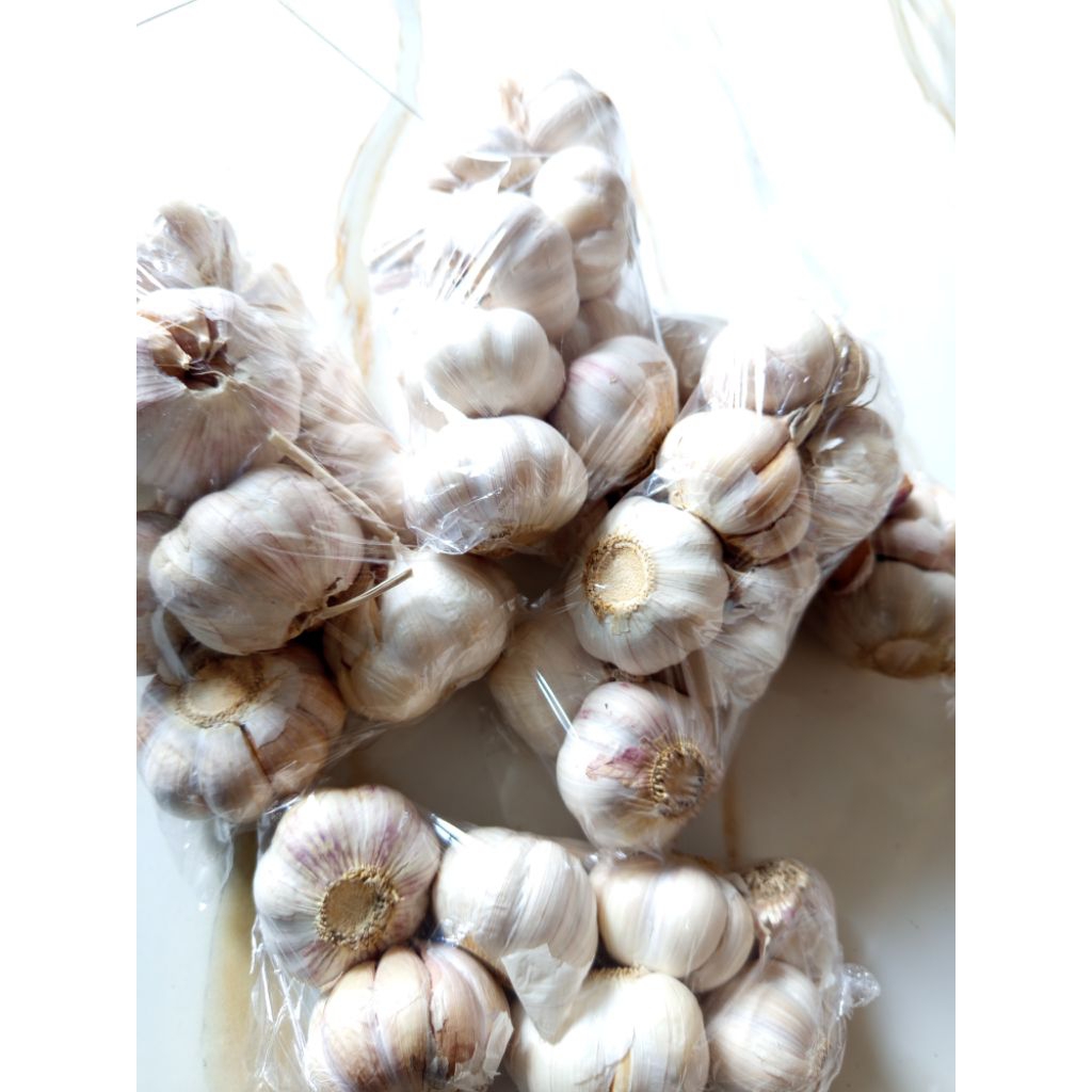 

BAWANG PUTIH