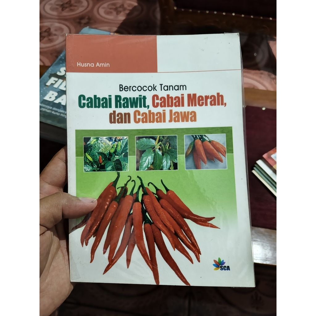 

Bercocok tanam cabai rawit, merah, jawa