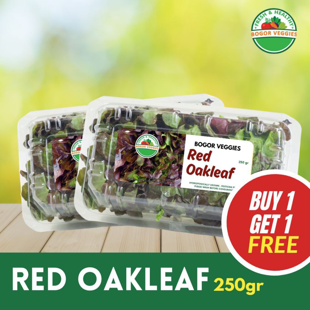 

Red Oakleaf Beli 1 Gratis 1/Buy 1 Get 1 250gr Bogor Veggies