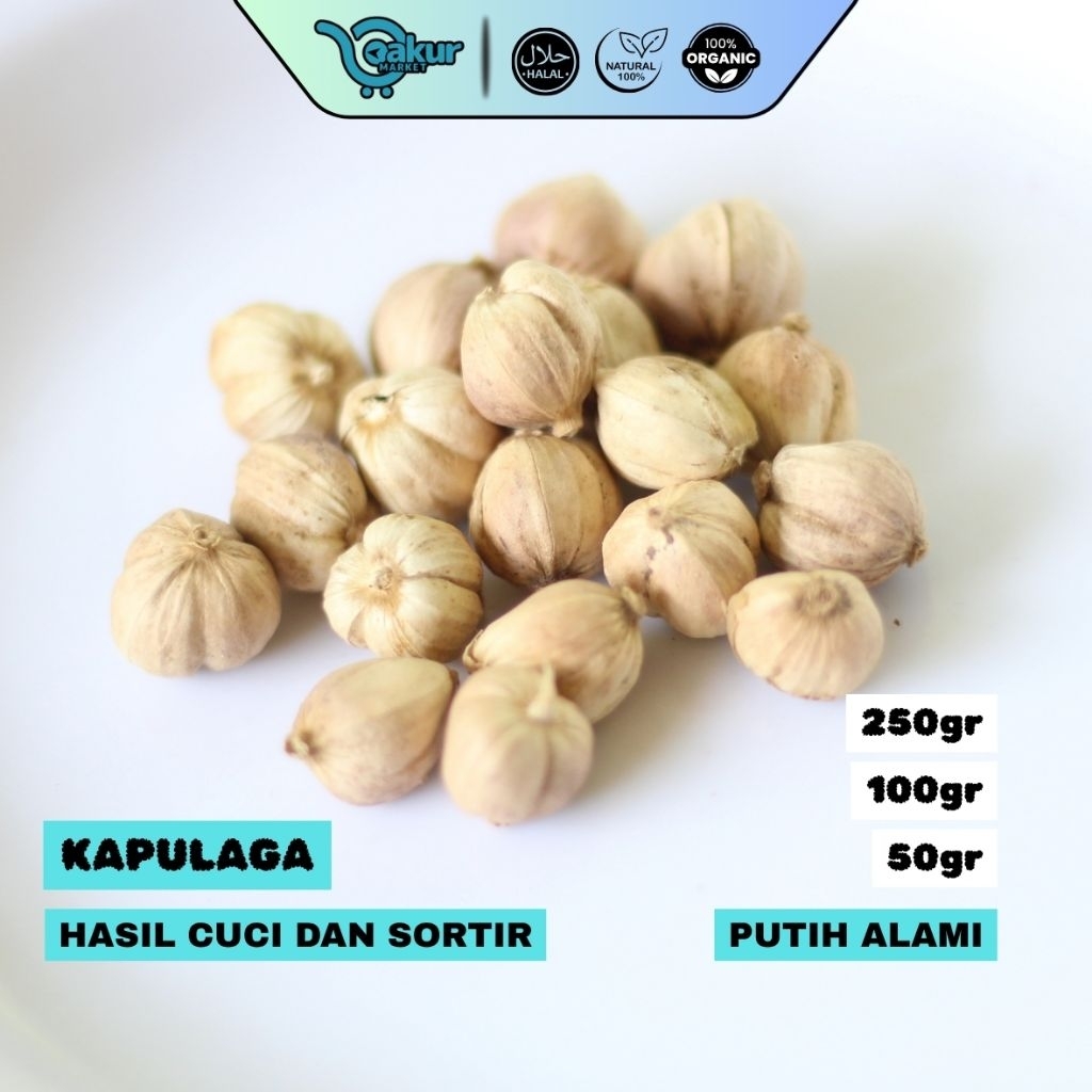 

250 gr Kapulaga Asli Kering Rempah Pilihan Berkualitas Putih Alami