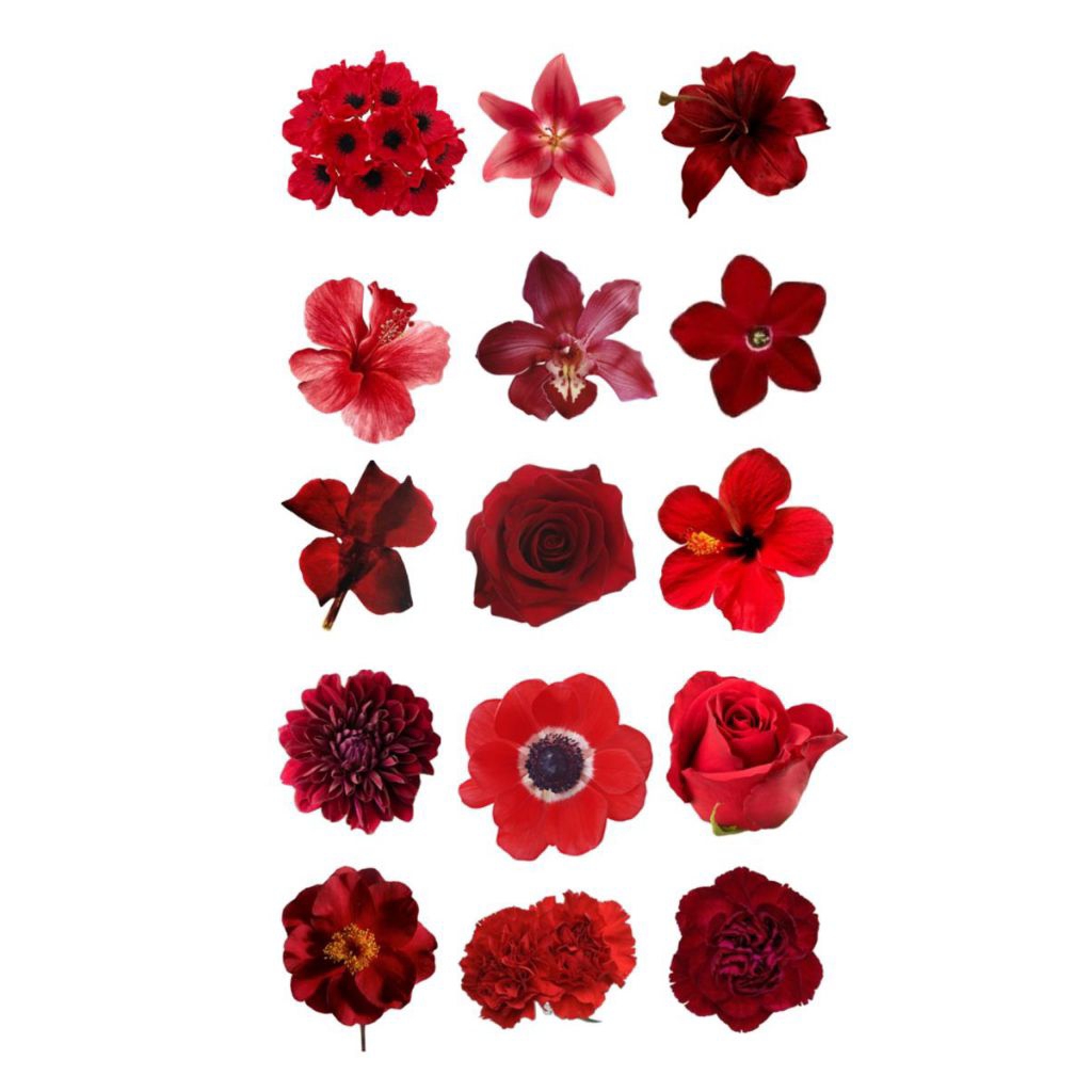 

Sticker "Vintage Red Vibes" 10 pcs