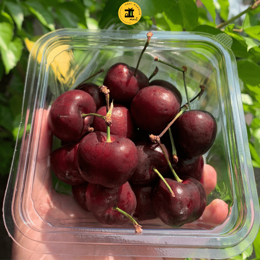 

FRESH CHERRY IMPORT FROM CALIFORNIA USA 250 GRAM | CERI SEGAR IMPOR DARI CALIFORNIA USA 250 GRAM