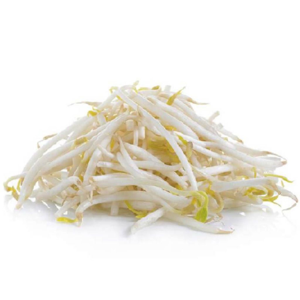 

sayur toge panjang 250g