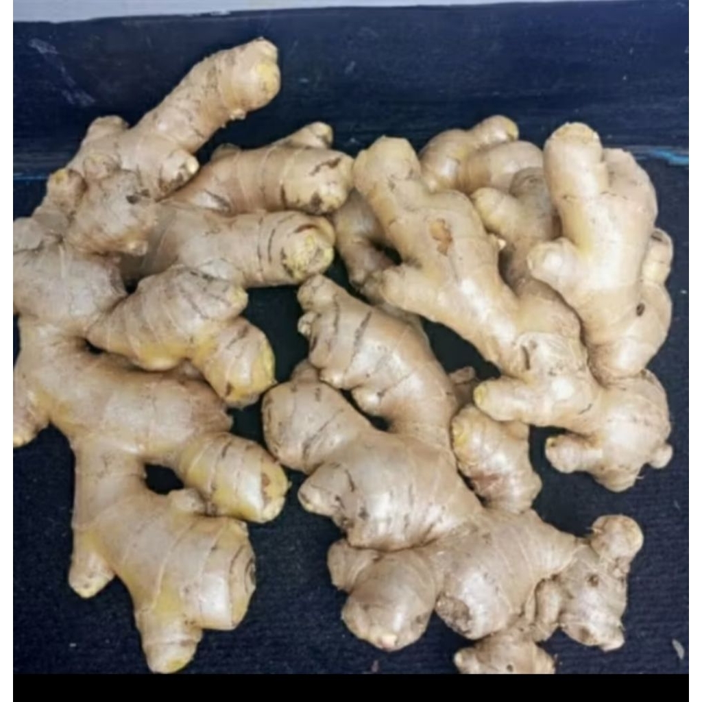 

JAHE BUAH JAHE SIAP OLAHHH HERAL 1KG TEBAR PEAONA PEROMO BESAR