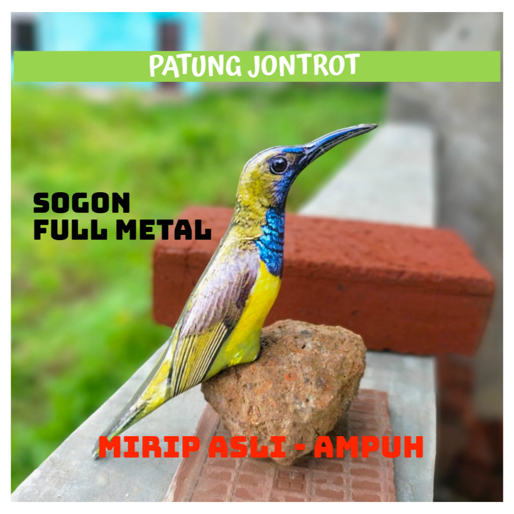 PATUNG JONTROT BURUNG SOGON - JONTROT BURUNG SOGON