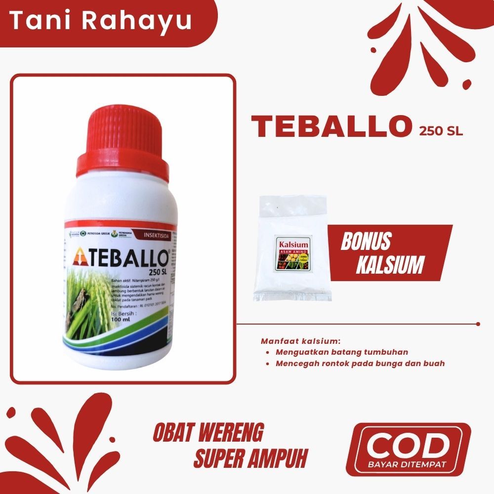 Teballo Obat Wereng Super Ampuh