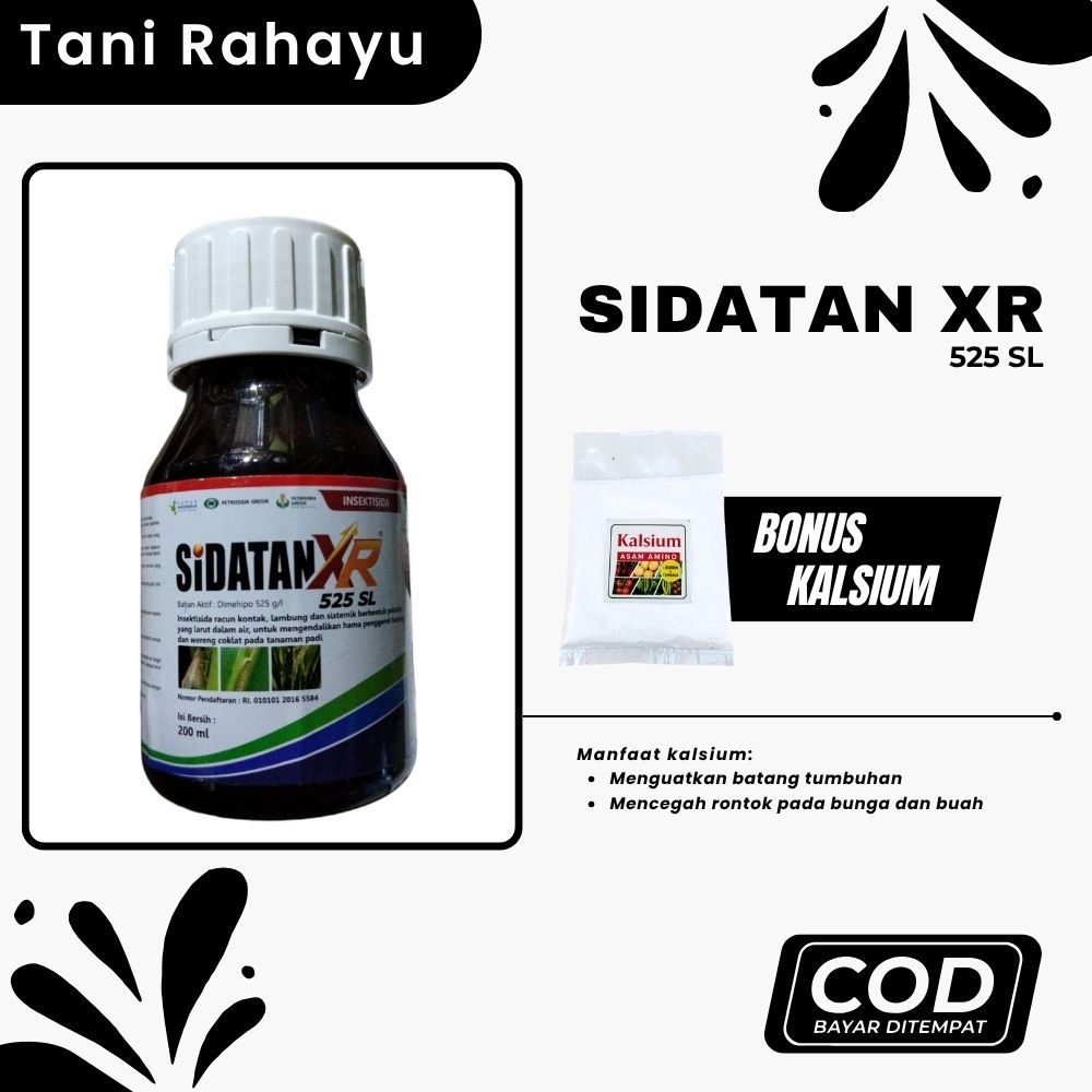 Sidatan XR 525 SL Original 100%