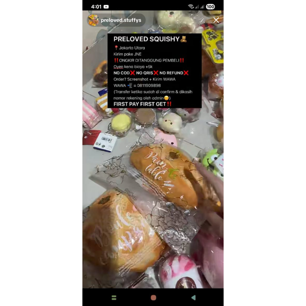 ibloom bundle roti squishy