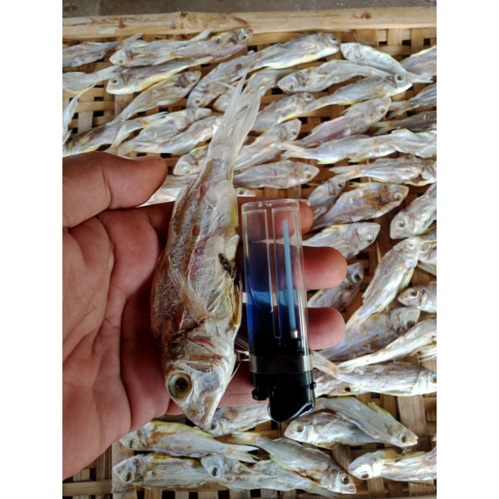 

kuniran biasa/kokol khas Madura
