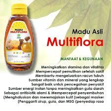 

MADU MULTIFLORA - HNI HPAI ORI BPOM