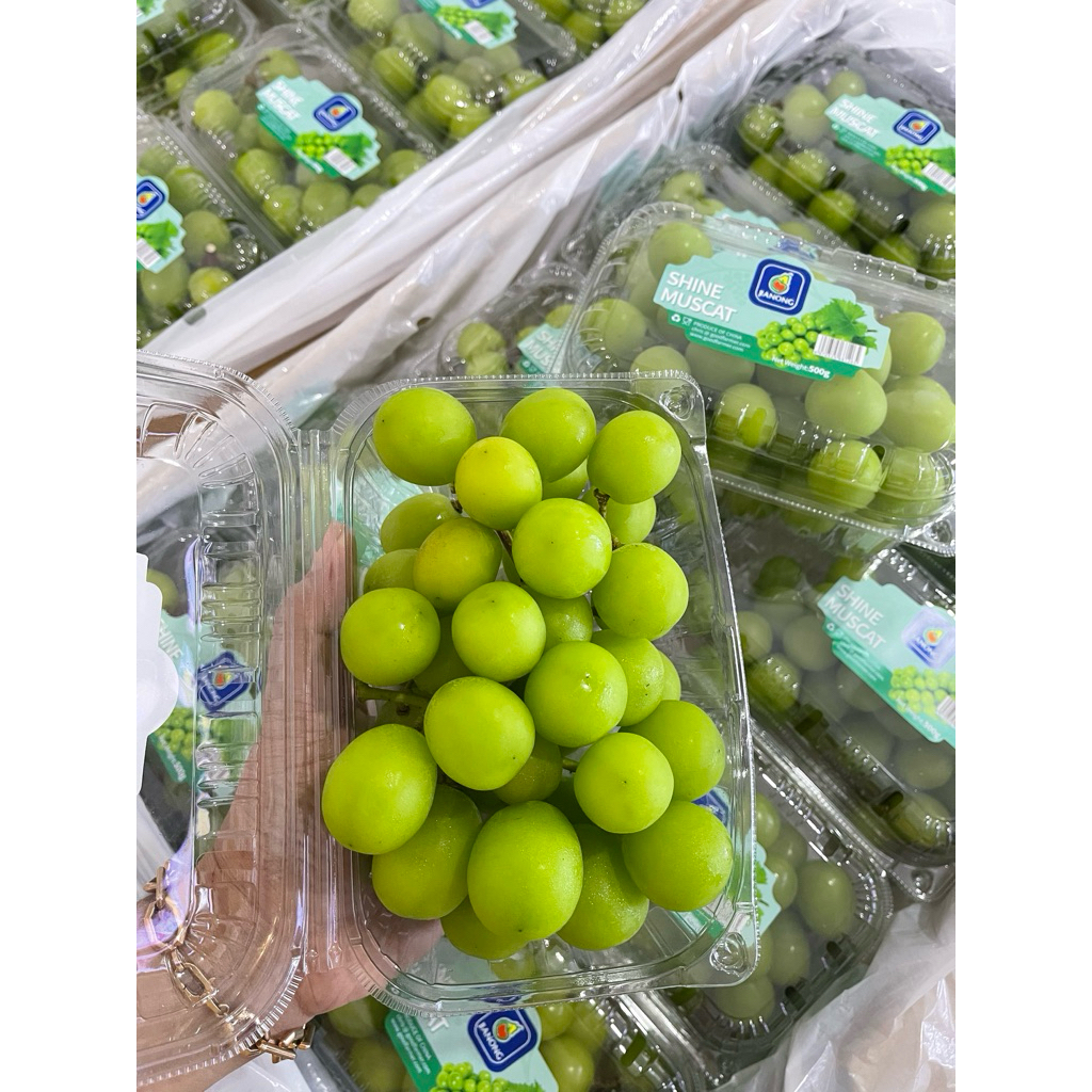 

Anggur Shine MUSCAT