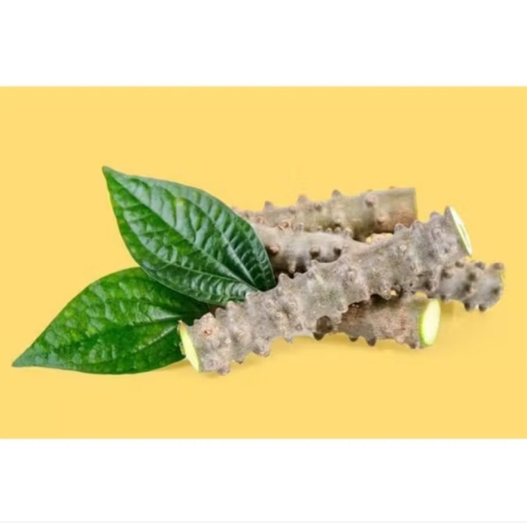 

bratawali / brotowali. segar 250 gram