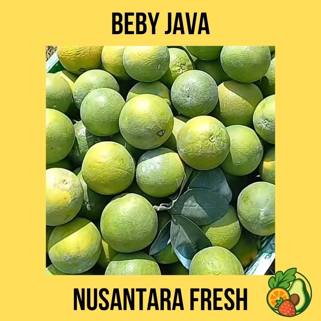 

JERUK IRIS BABY JAVA KOTA BATU I 1 KG I JERUK MANIS
