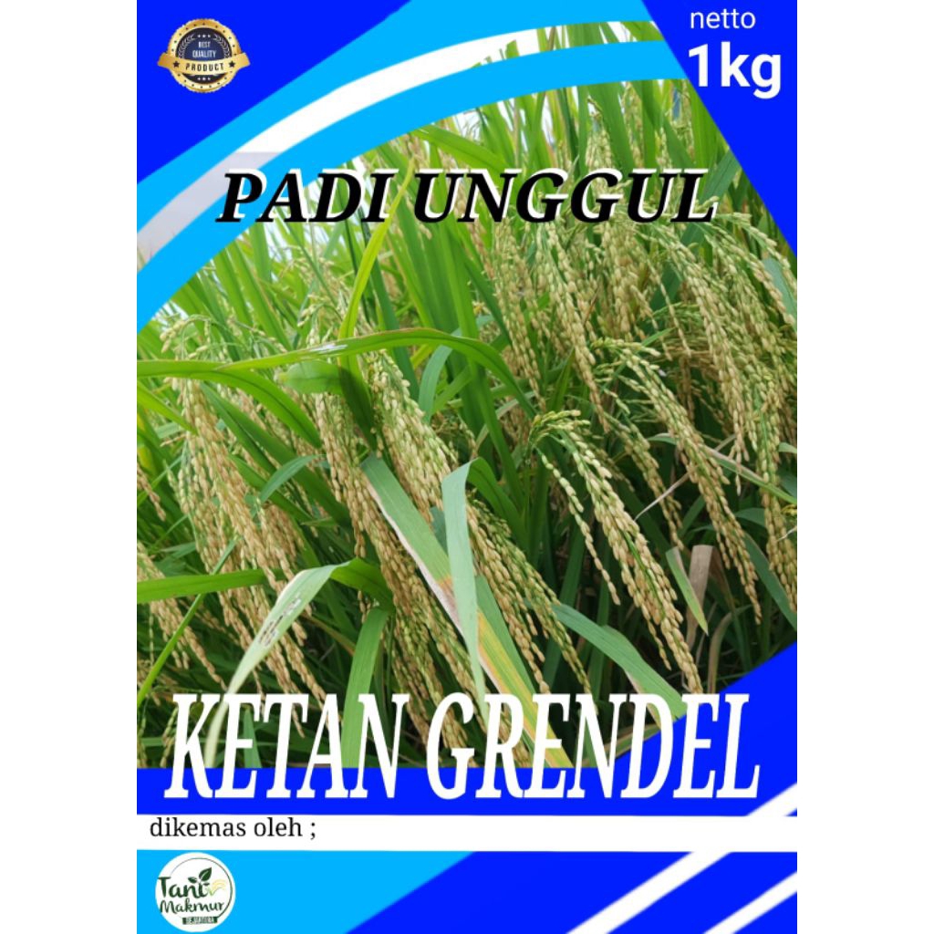 benih padi ketan grendel 1kg ketan putih terlaris