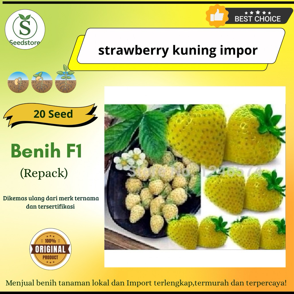 20 benih biji strawberry kuning import