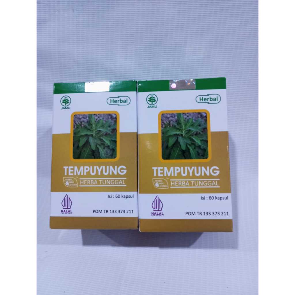 COD HIU Tempuyung Obat Herbal Saluran Kencing, Batu Ginjal, Batu Empedu Termurah