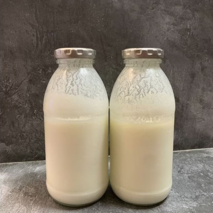 

(Thanks Gut) Grass Fed Raw Cows Milk Kefir - Kefir Susu Sapi Grass Fed