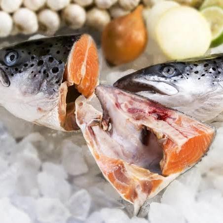 

KEPALA NORWEGIAN SALMON HEAD BELAH SAMPAI BAHU PREMIUM TERMURAH