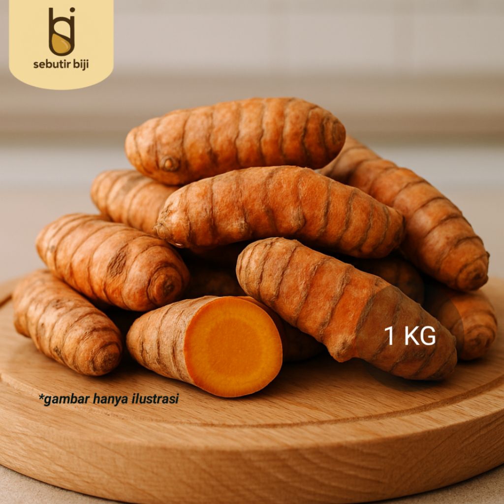 

Kunyit Segar 1 Kg / 500 gr – Temulawak Kuning / Kunir – Rimpang Herbal Bersih Siap Olah | Sebutir biji