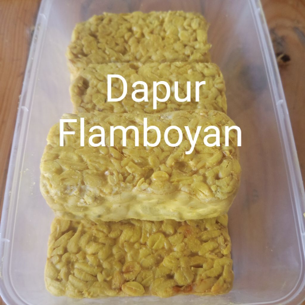 

Tempe bumbu kuning siap goreng 10 pcs