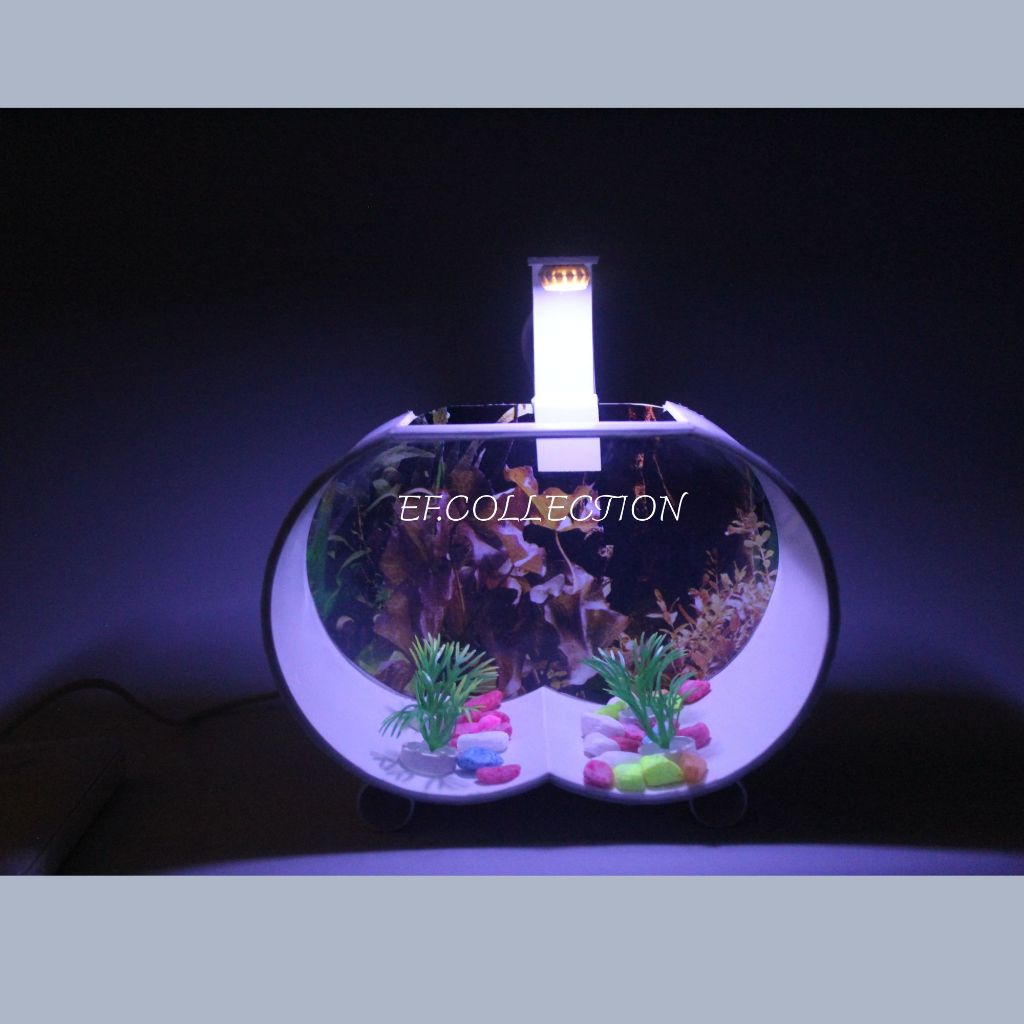 Aquarium mini  ikan hias akuarium cupang fullset