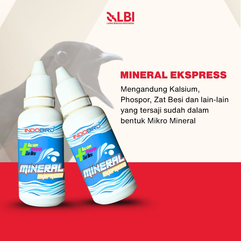 Mr.Kasacil - Lbi Mineral Ekspress Suplemen Burung Murai Batu Kacer Lovebird Harian Ternak