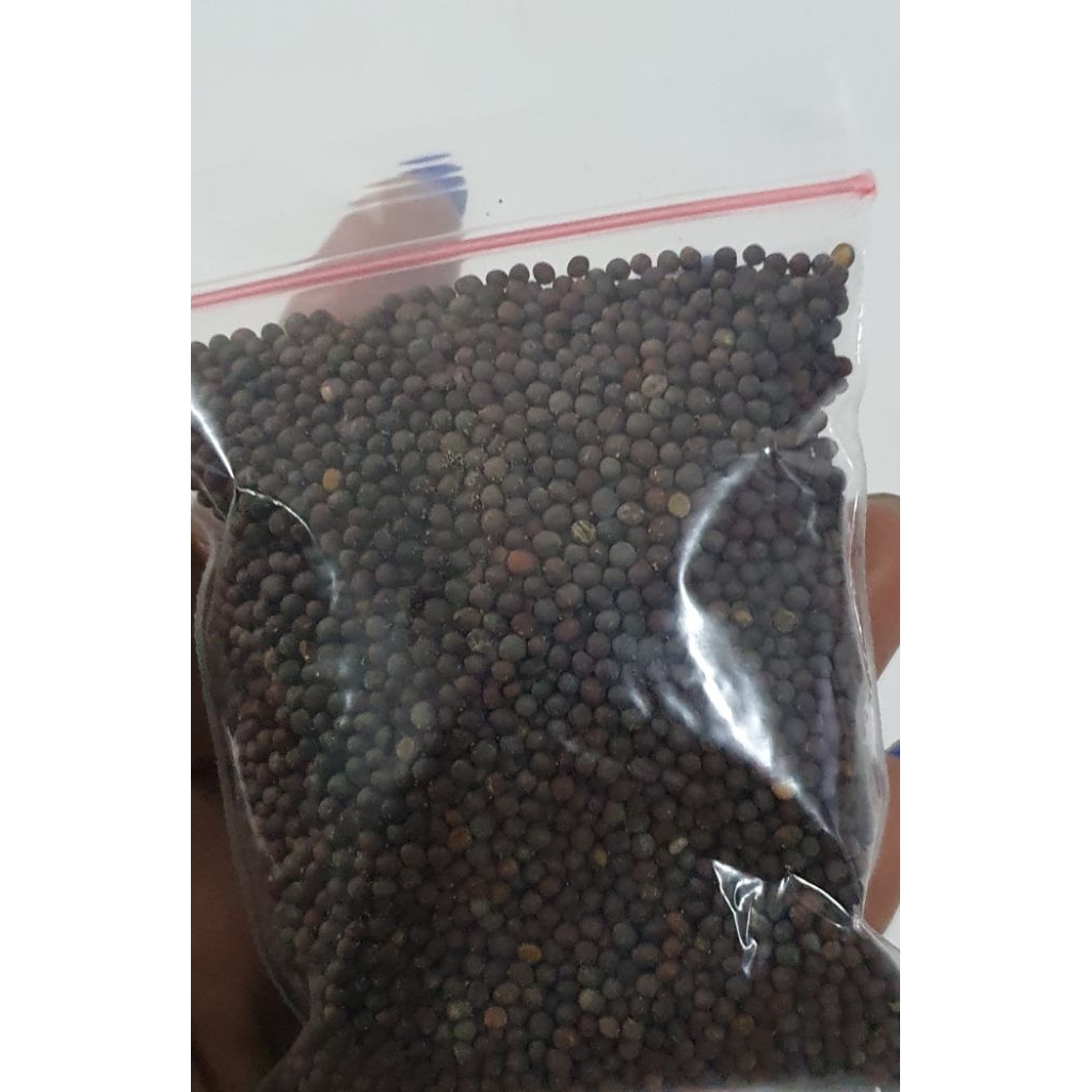 

Biji Sawi /Mustard seed