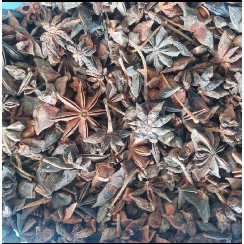 

Bunga Lawang/Star anise 15gram