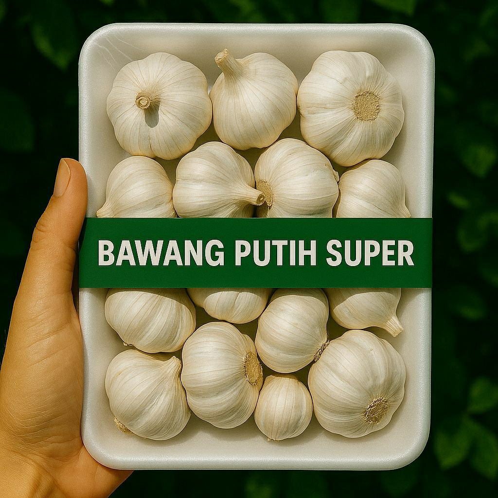 

Bawang Putih Super — Packing Styrofoam Higienis, Aman & Praktis