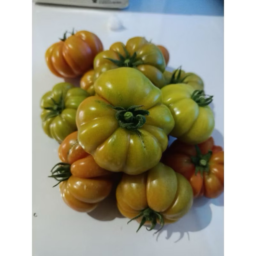 

TOMAT RANTI ASLI BANYUWANGI 250 Gram