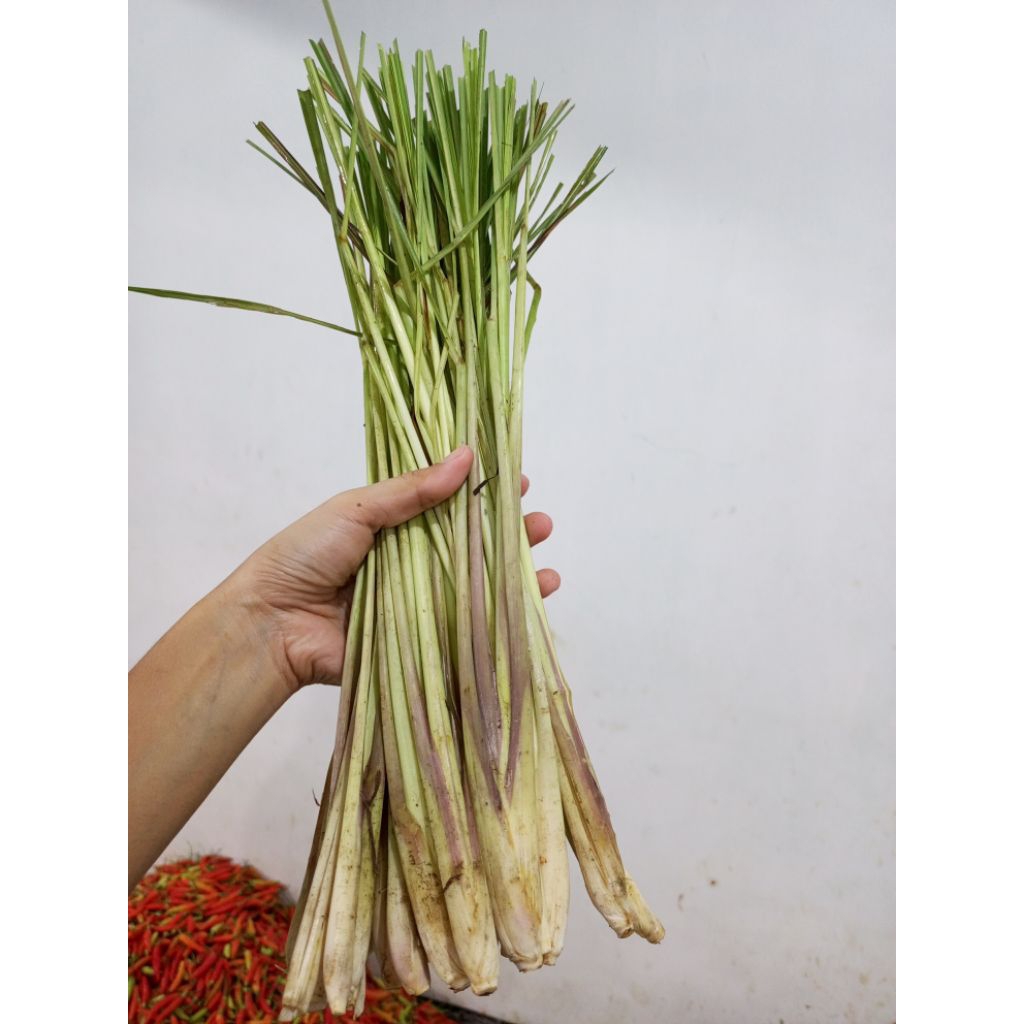 

Sereh / serai 1 kg bumbu masakan super segar
