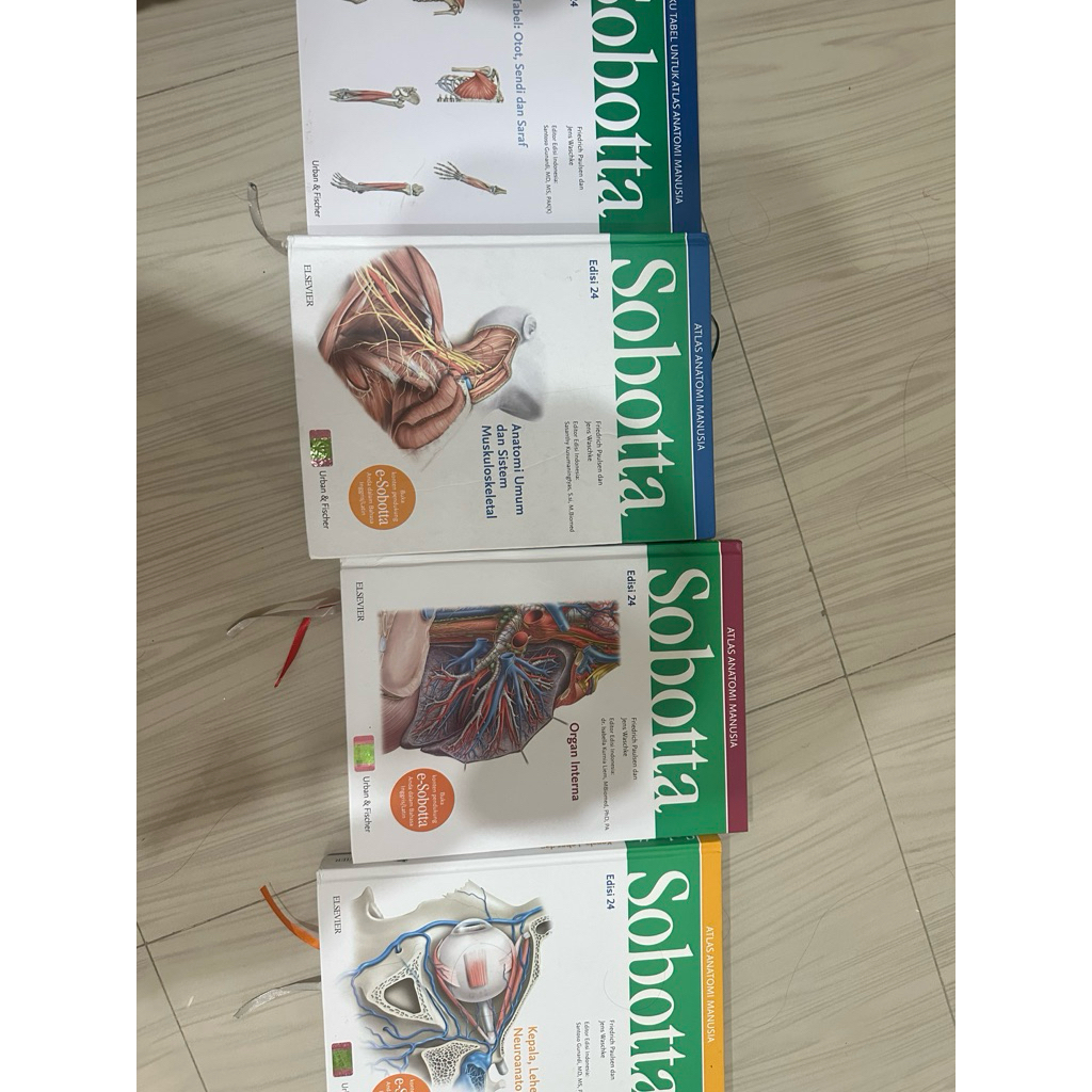 SOBOTTA ANATOMI KEDOKTERAN