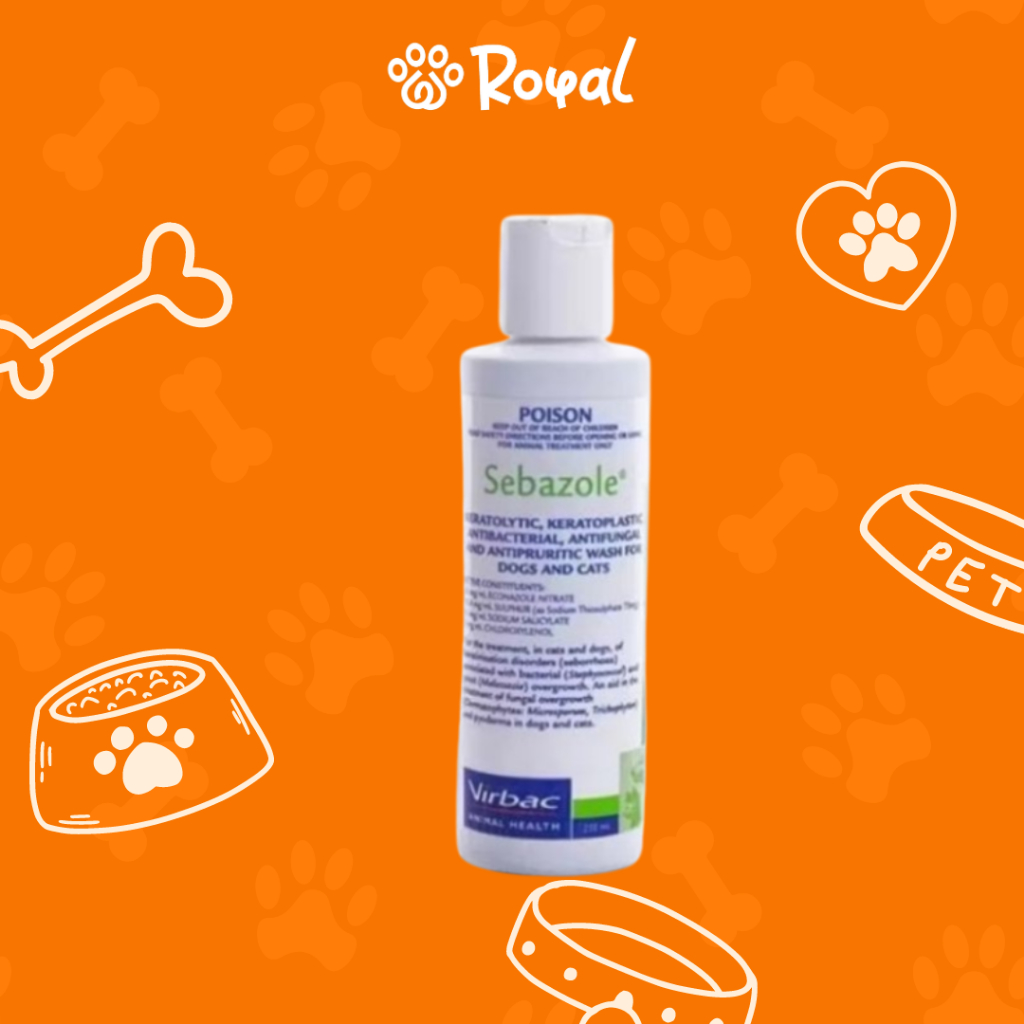 SEBAZOLE SHAMPO - SHAMPO JAMUR KUCING ANJING