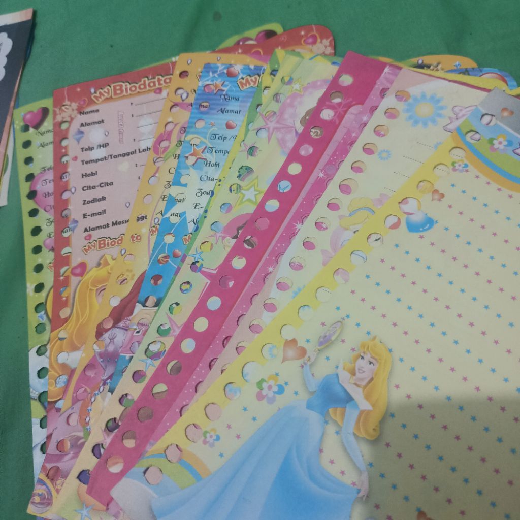 

binder A5 karakter princess (Baca deskripsi)