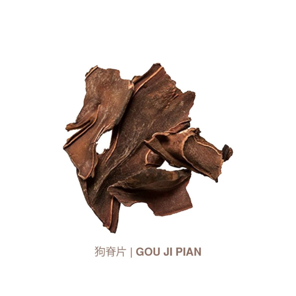 

Gou Ji (Iris)/狗脊片/Rhizoma of Scythian Lamb