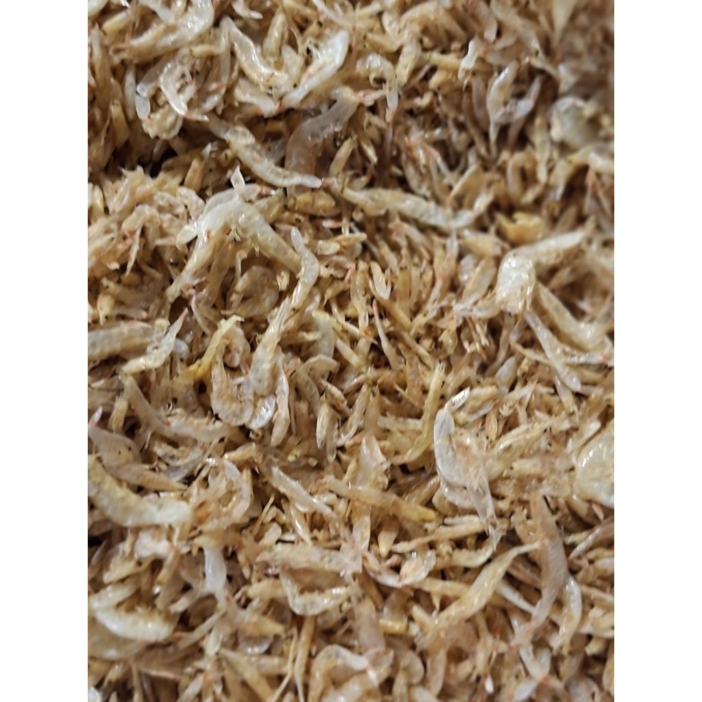 

EBI KERING/UDANG REBON/UNDANG PAPA,I