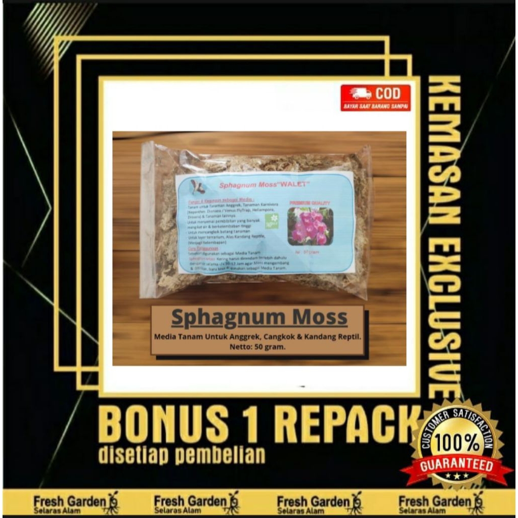 Sphagnum Moss Media Tanam Anggrek Import